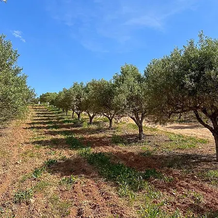 بيت للعطل Quinta De Sta Teresa By Key