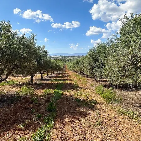 بيت للعطل Quinta De Sta Teresa By Key