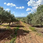 펜션 Quinta De Sta Teresa By Key