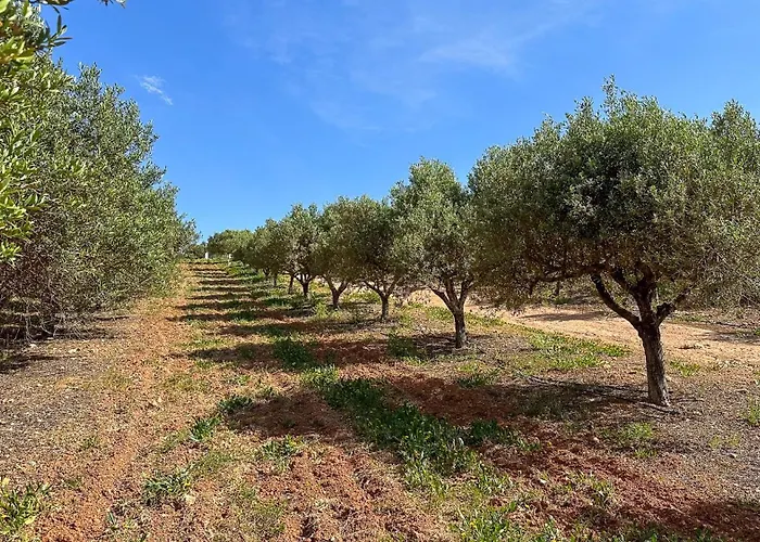 Nyaraló Quinta De Sta Teresa By Key