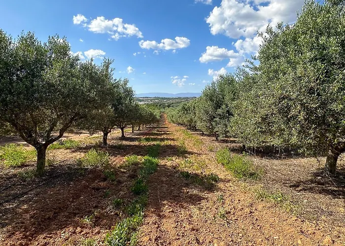 Nyaraló Quinta De Sta Teresa By Key